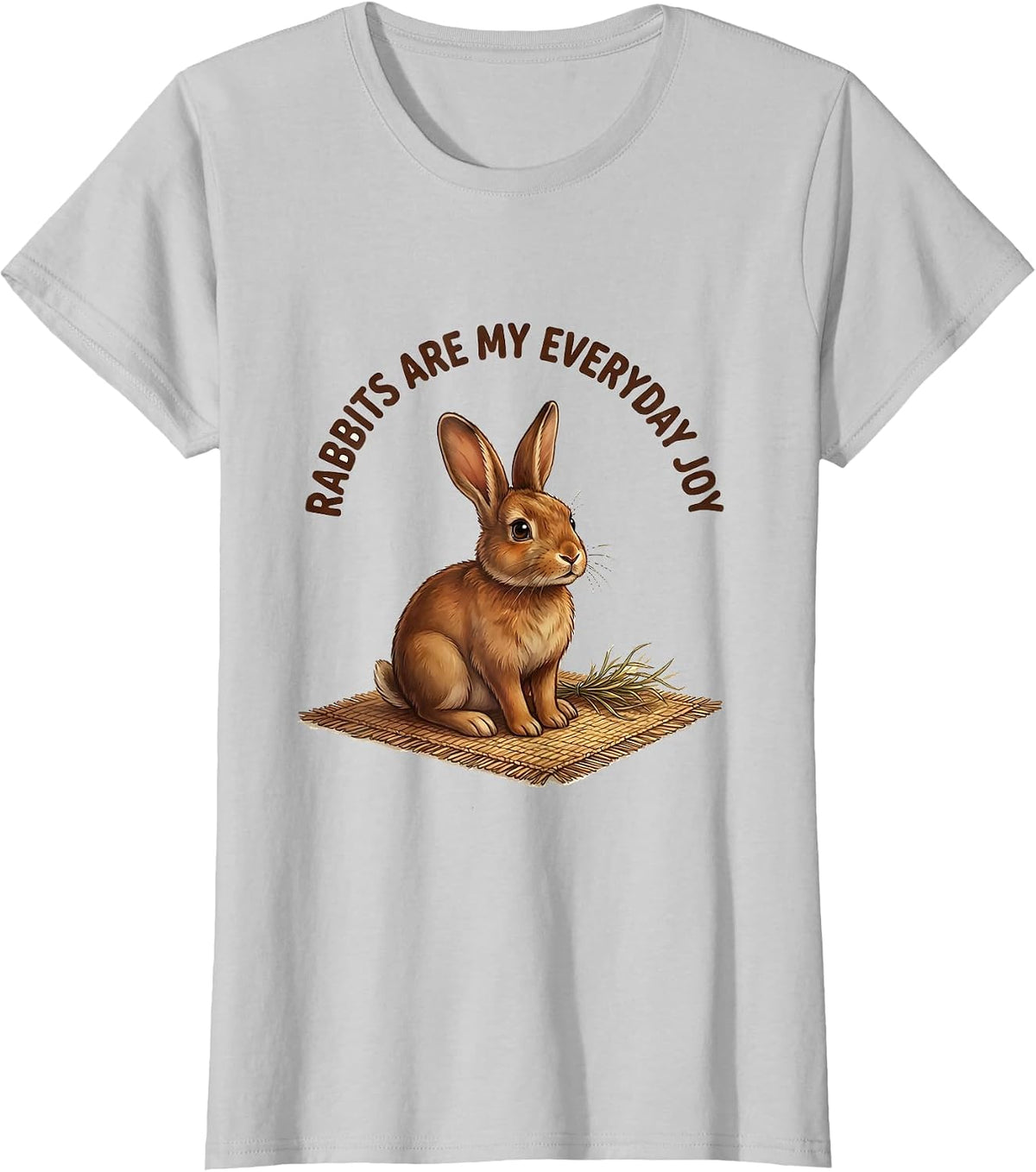 Rabbits Are My Everyday Joy Cute Bunny Lover Rabbit Owner T-Shirt - Silver Grey