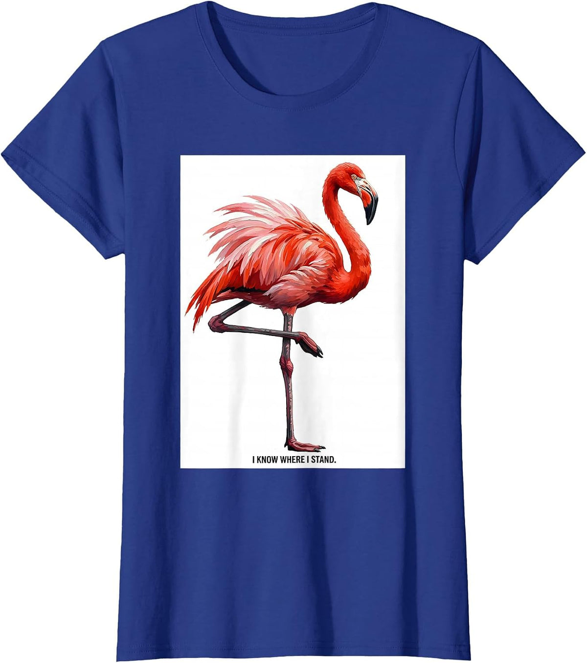 Women's I Know Where I Stand Flamingo Humor Novelty Bird Lover Gift T-Shirt - Royal Blue