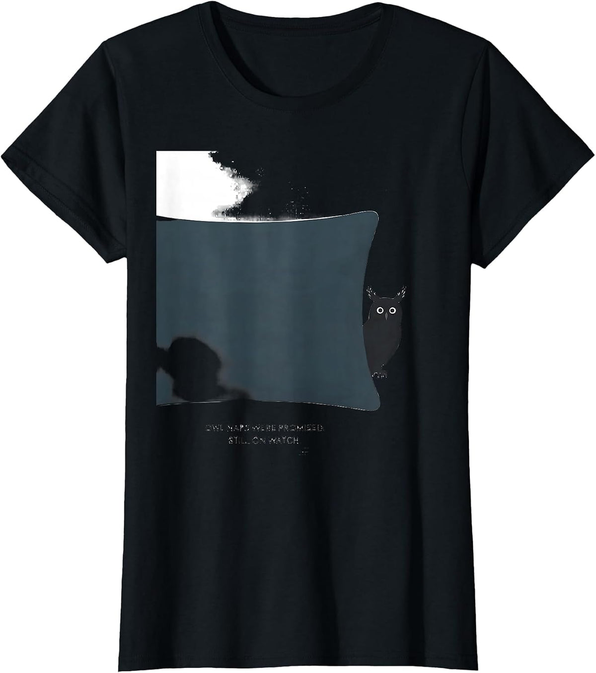 Women's Owl Naps Were Promised Still On Watch Funny Animal Sleepwear T-Shirt - Black
