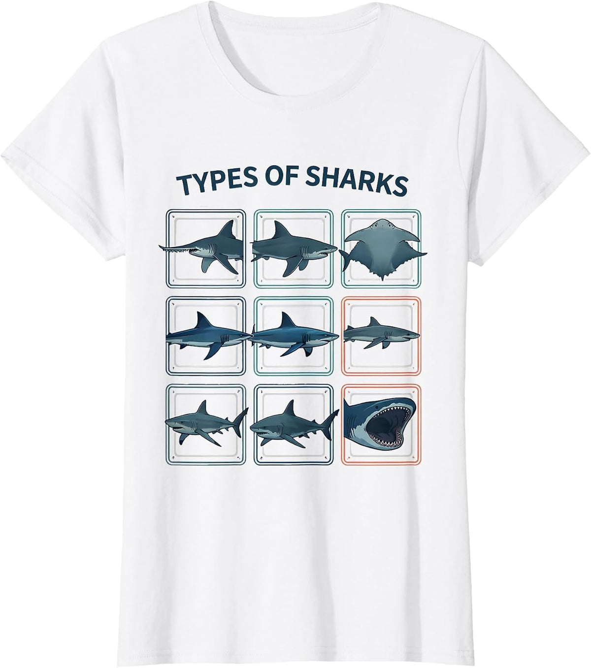 Types Of Sharks Flat Vector Marine Biology Ocean Wildlife T-Shirt - White