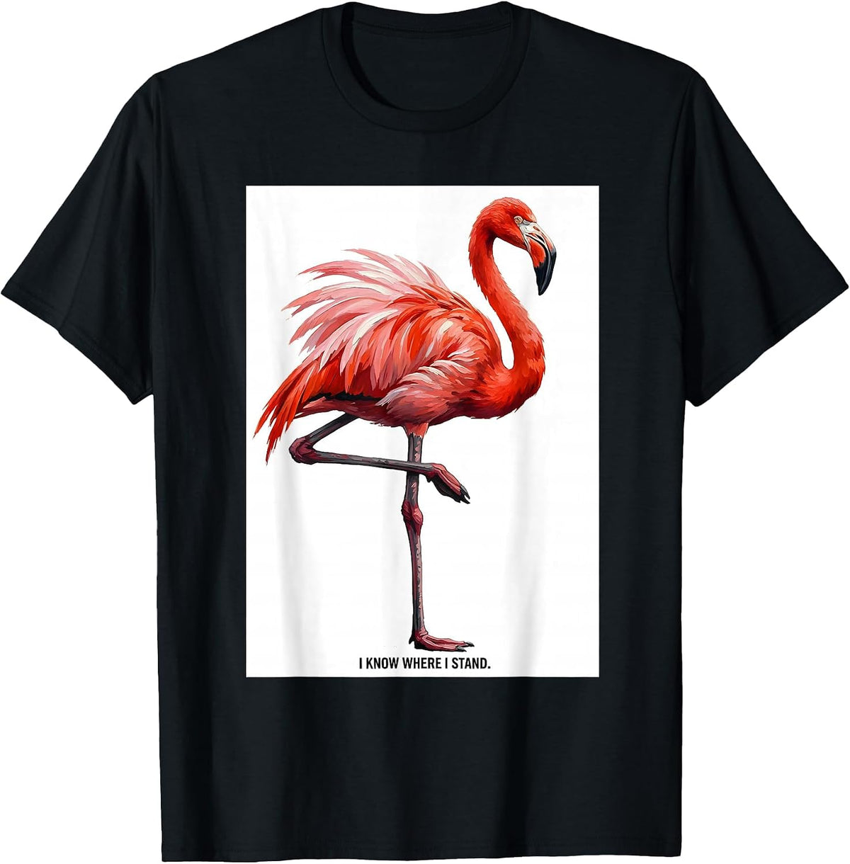 Men's I Know Where I Stand Flamingo Humor Novelty Bird Lover Gift T-Shirt - Black