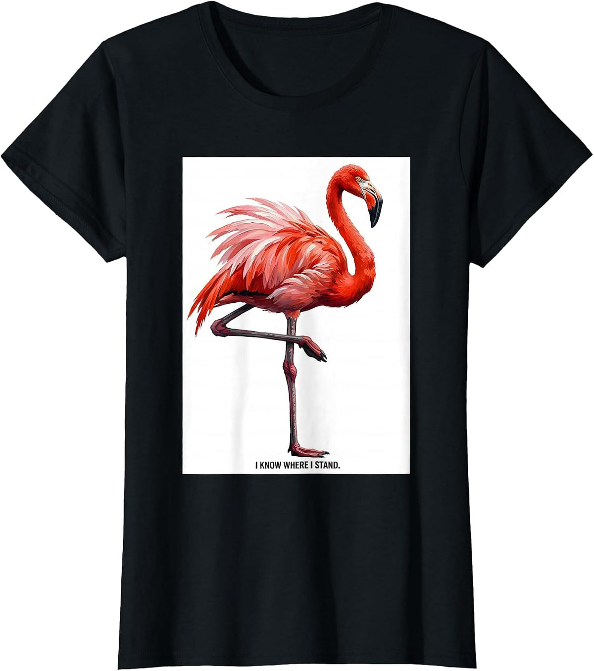 Women's I Know Where I Stand Flamingo Humor Novelty Bird Lover Gift T-Shirt - Black