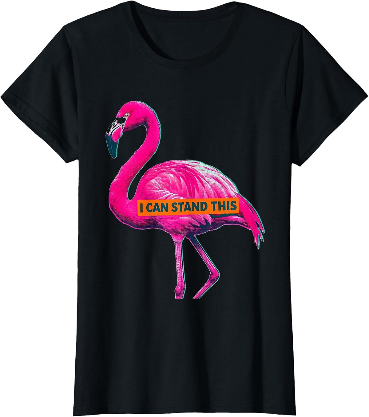 Women's I Can Stand This Funny Flamingo Animal Humor Bird Lover T-Shirt - Black