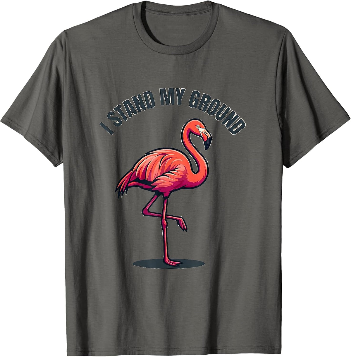 Men's I Stand My Ground Funny Pink Flamingo Bird Lover Humor T-Shirt - Asphalt Grey