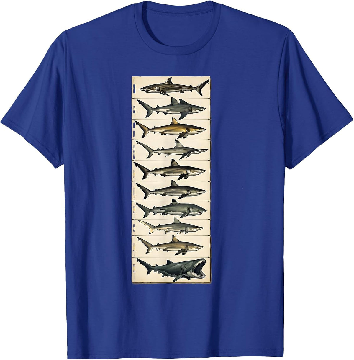 Men's Shark Species Ocean Wildlife Lover Marine Biology Enthusiast T-Shirt - Royal Blue