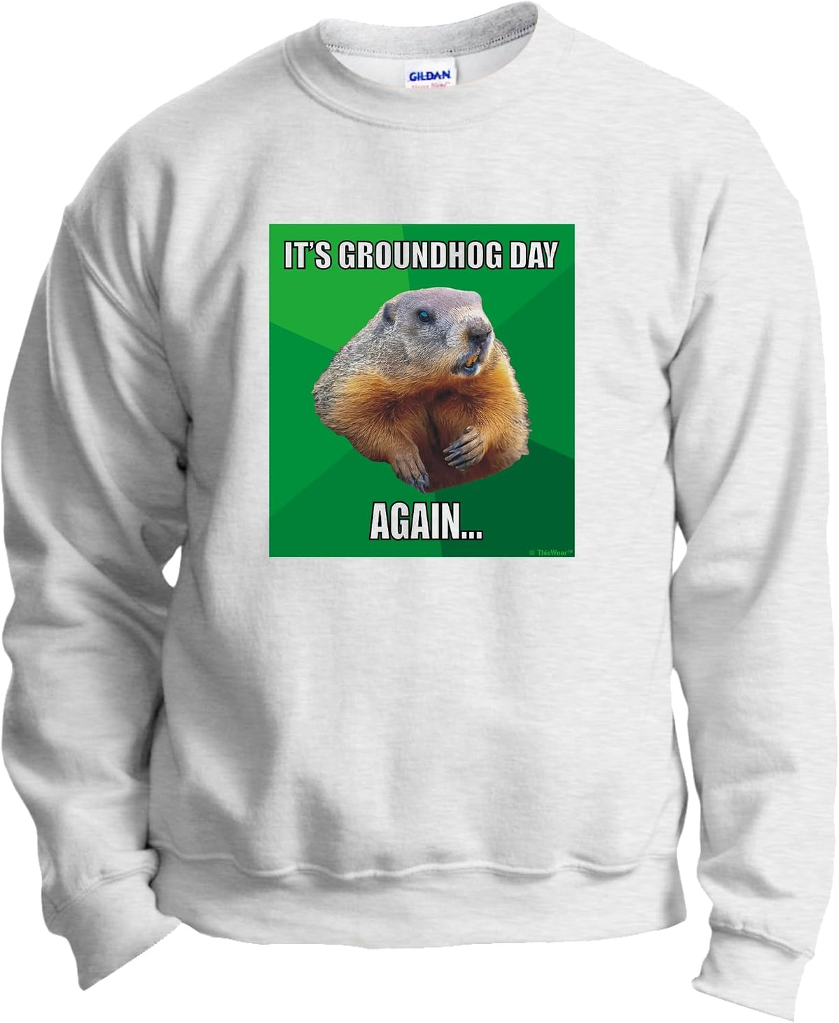 ThisWear It's Groundhog Day Again Long Sleeve Crewneck Sweatshirt - Ash