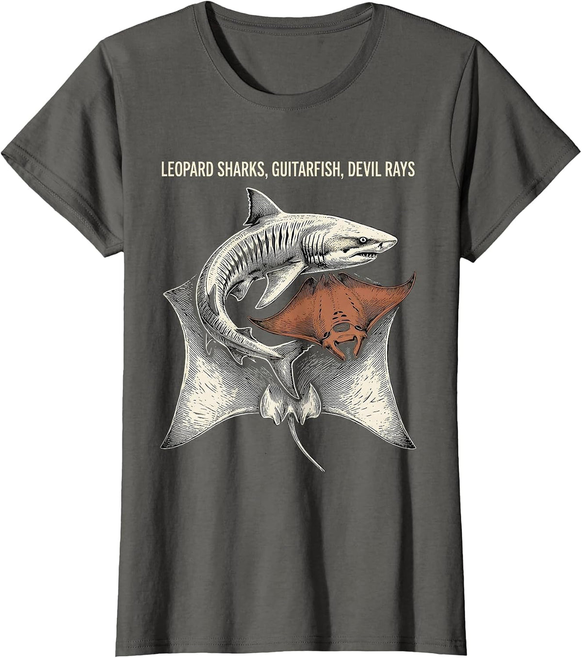 Women's Leopard Sharks, Guitarfish, Devil Rays Funny Shark Lover T-Shirt - Asphalt Grey
