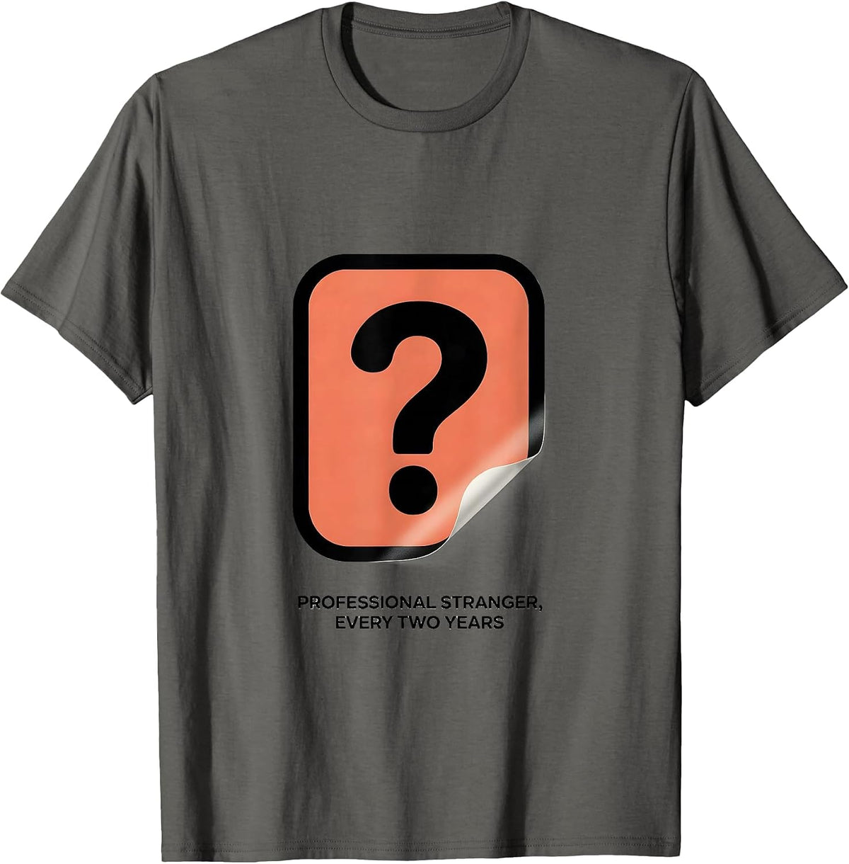 Professional Stranger, Every Two Years Funny Family Reunion T-Shirt - Asphalt Grey