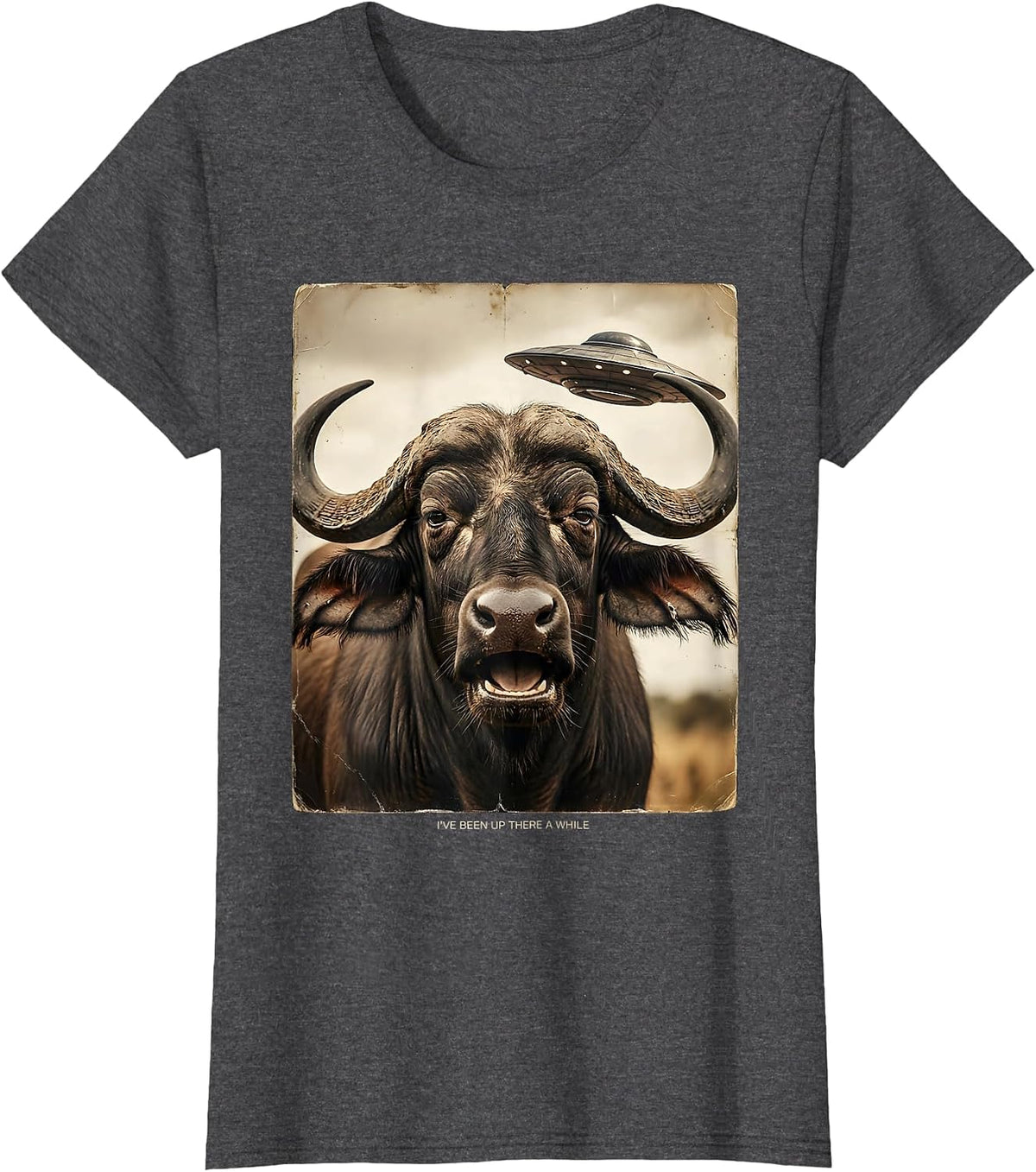 Women's I've Been Up There A While Vintage Funny Water Buffalo UFO T-Shirt - Dark Heather Grey