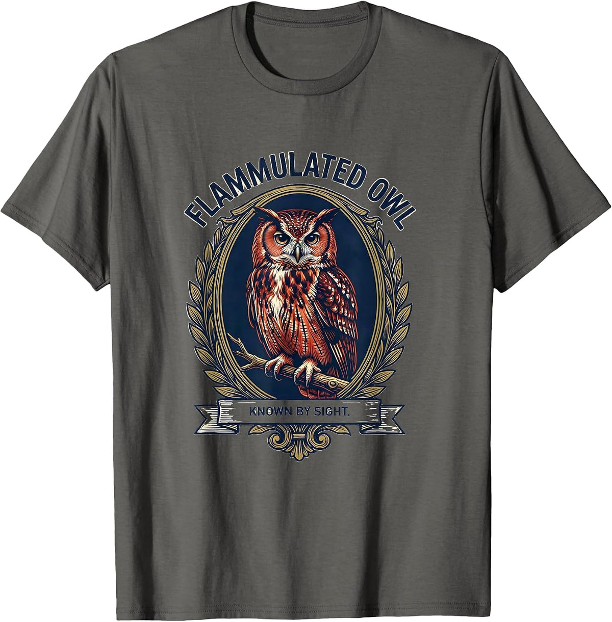Men's Flammulated Owl Known By Sight Retro Owl Lover Humor T-Shirt - Asphalt Grey