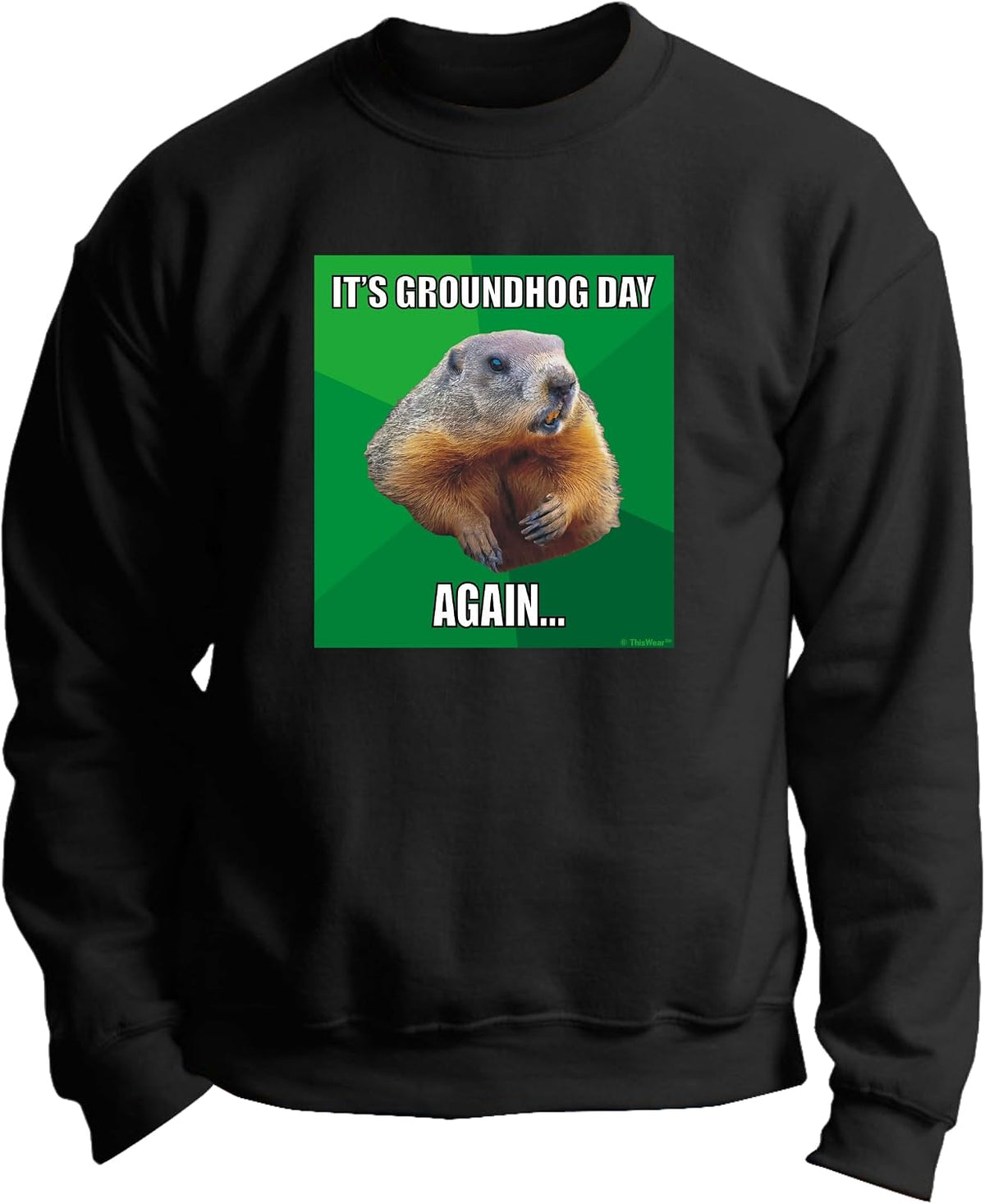 ThisWear It's Groundhog Day Again Long Sleeve Crewneck Sweatshirt - Black