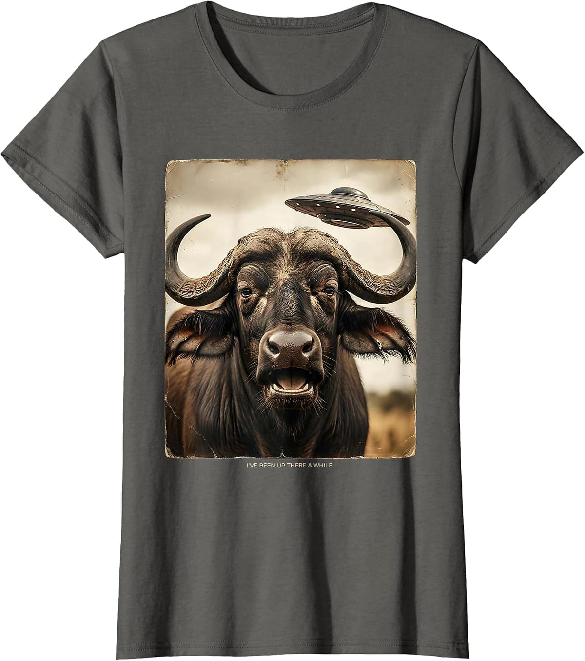 Women's I've Been Up There A While Vintage Funny Water Buffalo UFO T-Shirt - Asphalt Grey