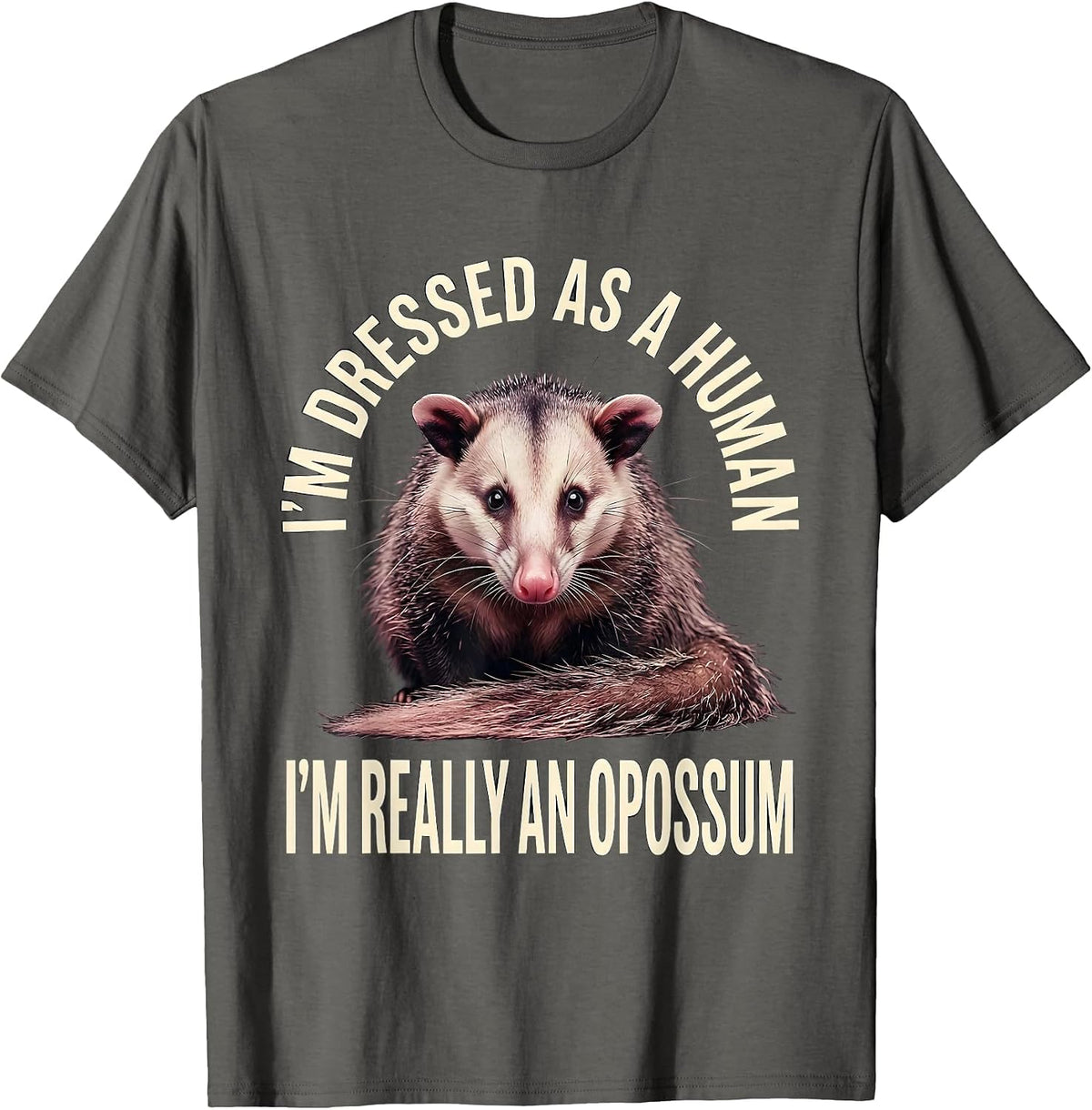 Men's I'm Dressed As A Human; I'm Really An Opossum Funny T-Shirt - Asphalt Grey