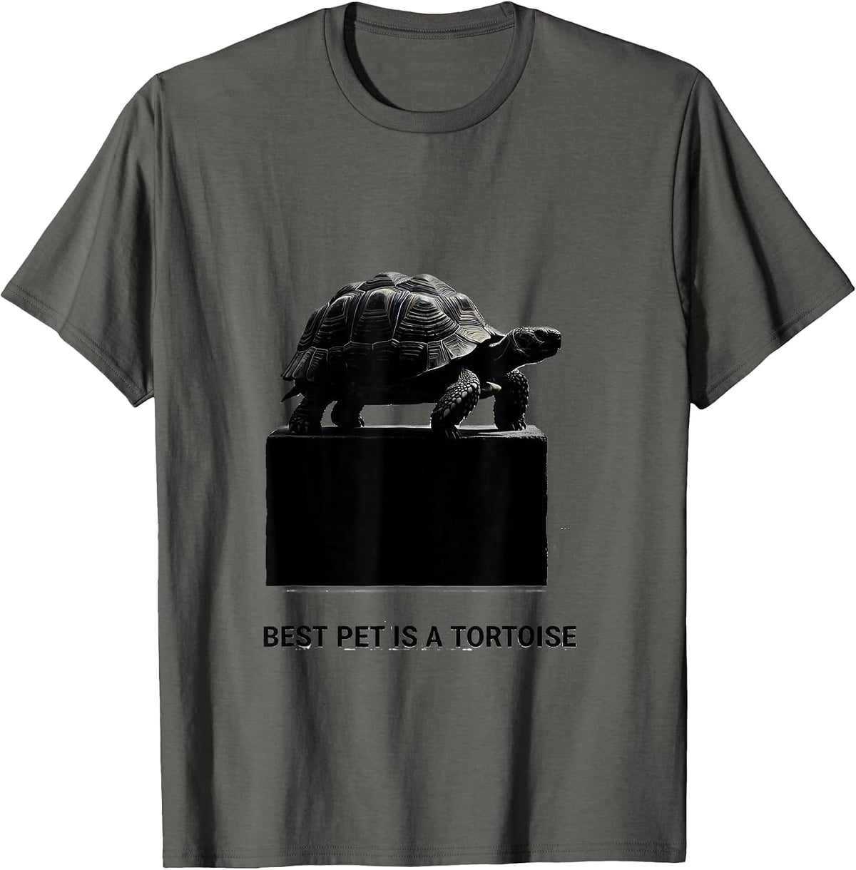 Men's Best Pet Is A Tortoise Funny Tortoise Lover Reptile Gift T-Shirt - Asphalt Grey