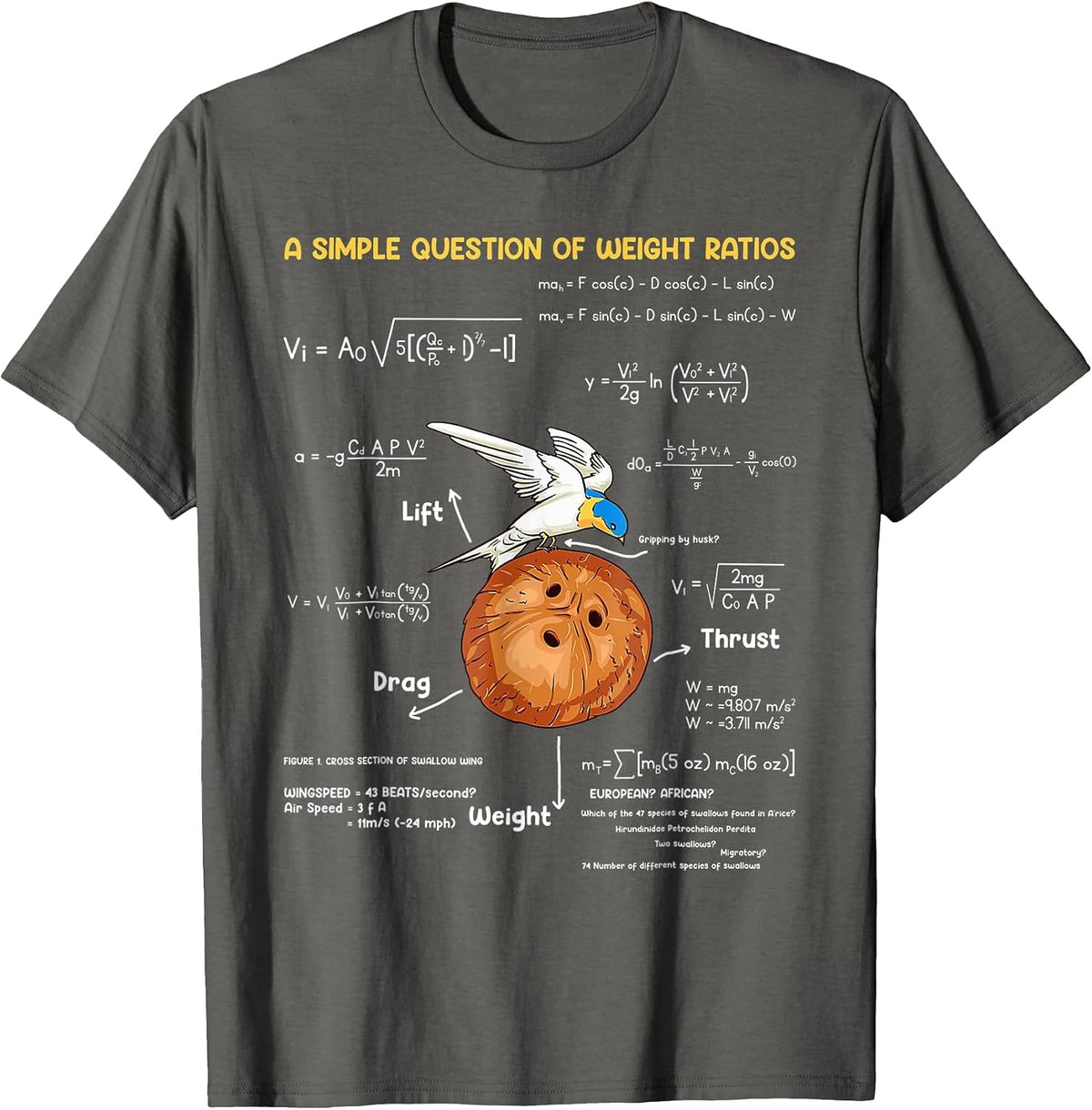 A Simple Question of Weight Ratios Funny Math Teacher T-Shirt - Asphalt Grey