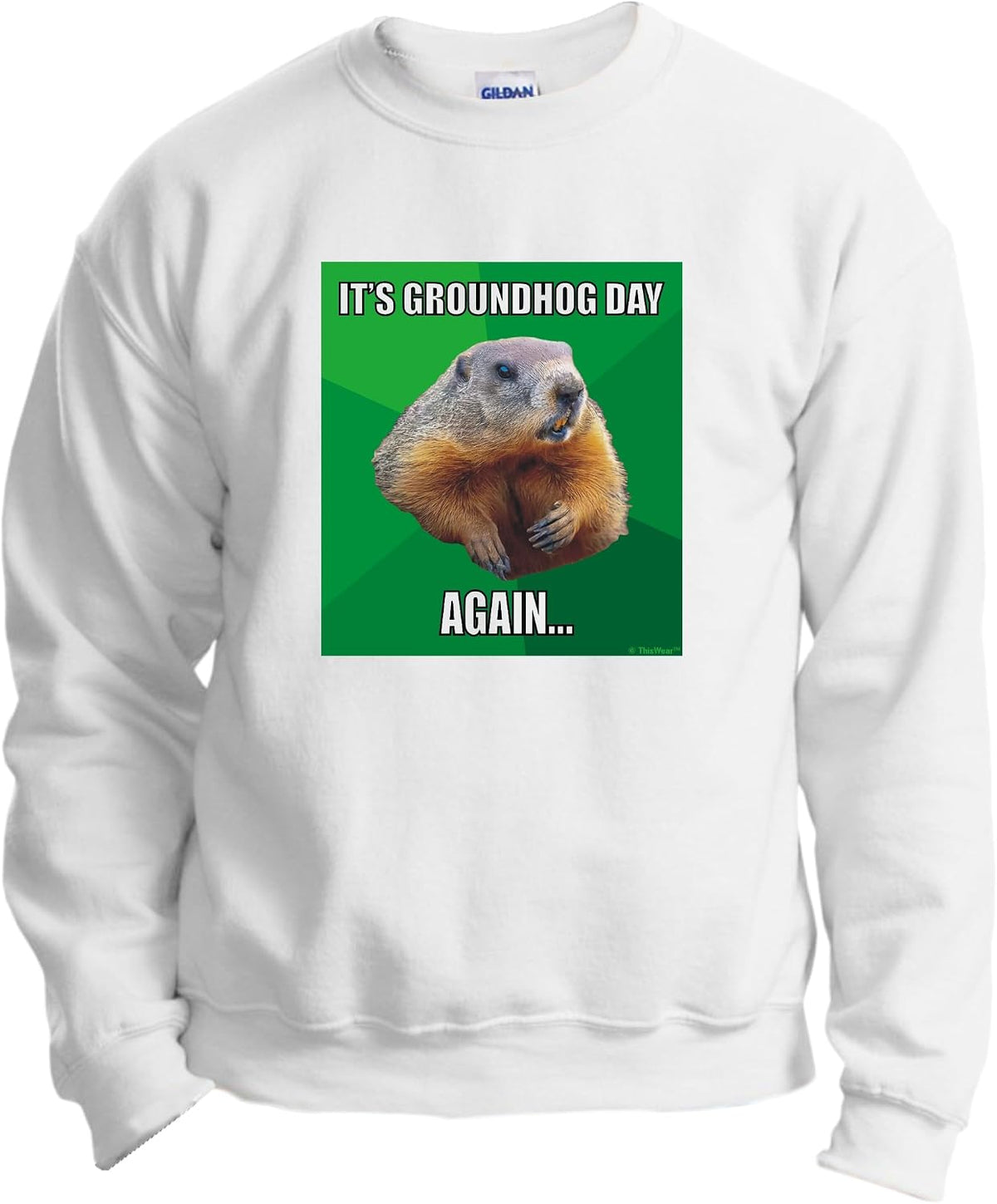 ThisWear It's Groundhog Day Again Long Sleeve Crewneck Sweatshirt - White