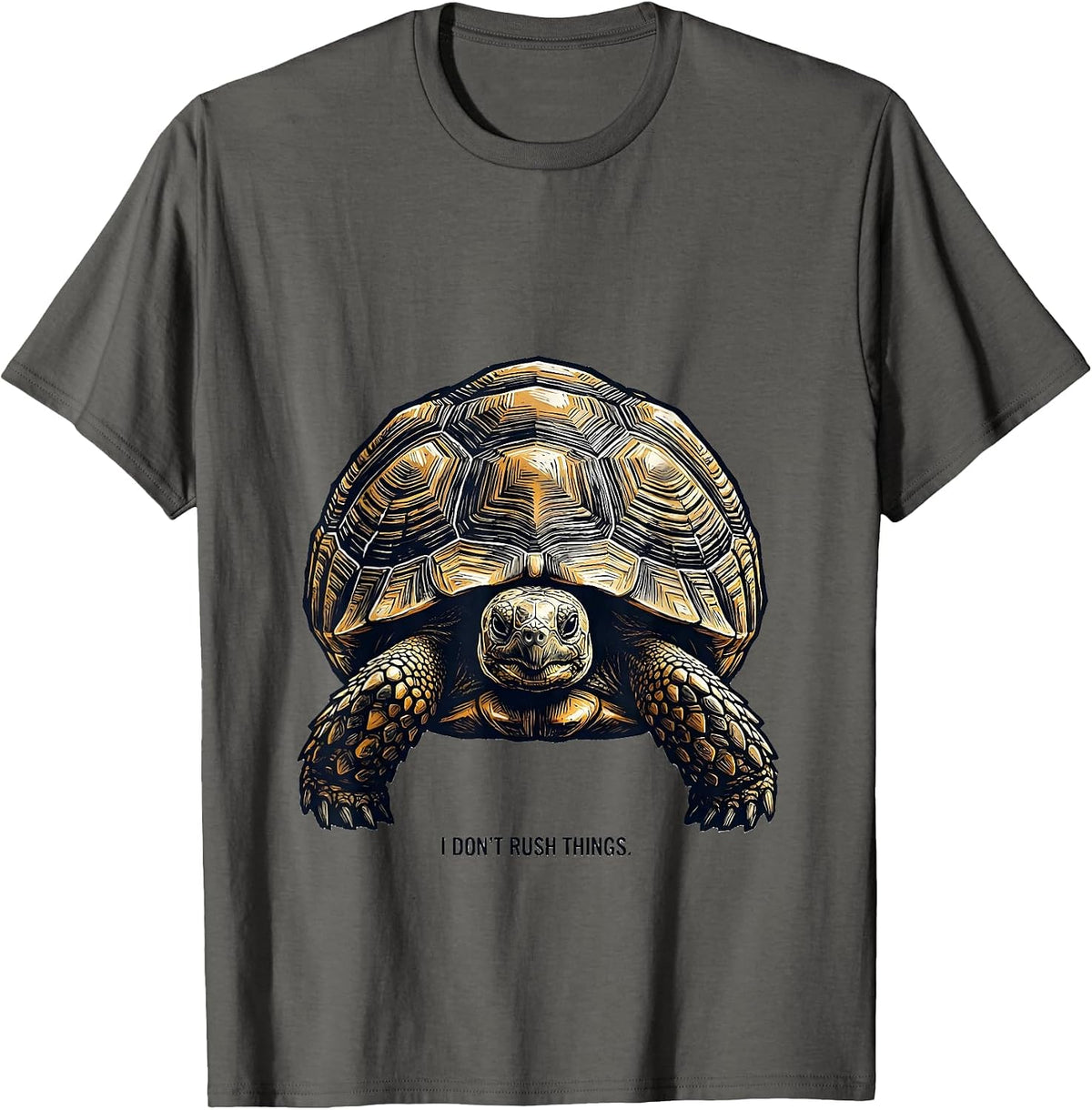 I Don't Rush Things Funny Tortoise Lover Pet Humor T-Shirt - Asphalt Grey