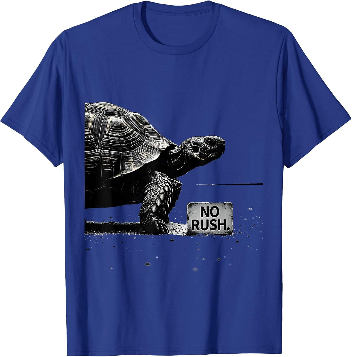 No Rush Silly Tortoise Lover Funny Turtle Pet Enthusiast T-Shirt - Royal Blue