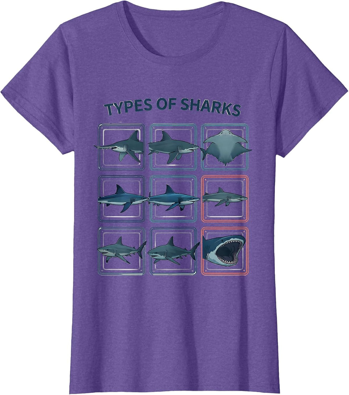 Types Of Sharks Flat Vector Marine Biology Ocean Wildlife T-Shirt - Purple Heather