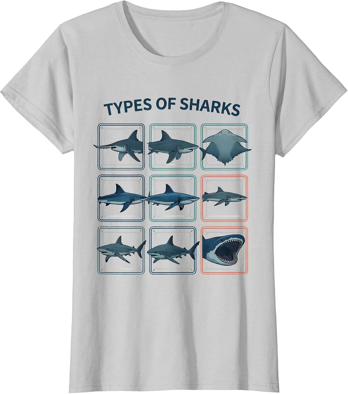 Types Of Sharks Flat Vector Marine Biology Ocean Wildlife T-Shirt - Silver Grey