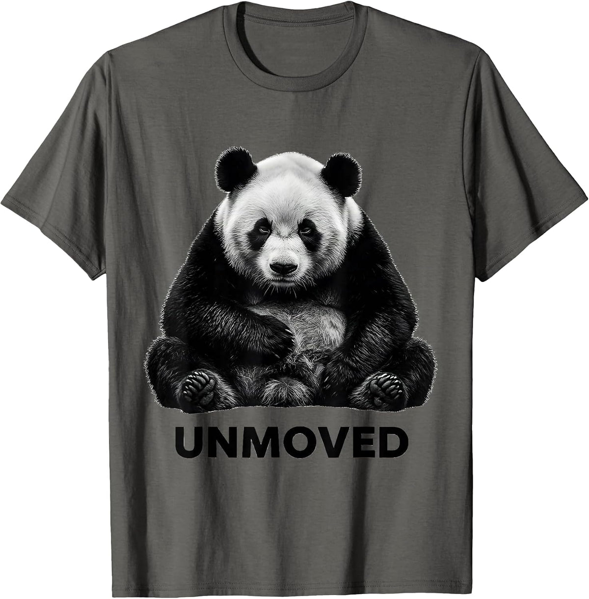 Men's Unmoved Monochromatic Panda Bear Novelty Animal Humor T-Shirt - Asphalt Grey