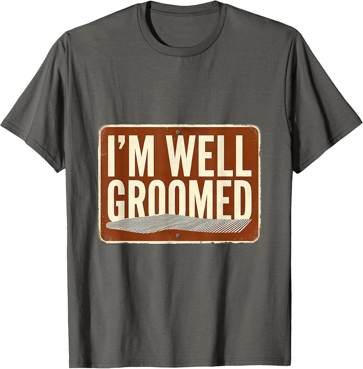 I'm Well Groomed Vintage Skiing Humor Ski Lover Gift T-Shirt - Asphalt Grey