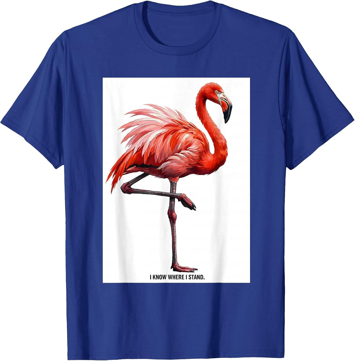 Men's I Know Where I Stand Flamingo Humor Novelty Bird Lover Gift T-Shirt - Royal Blue