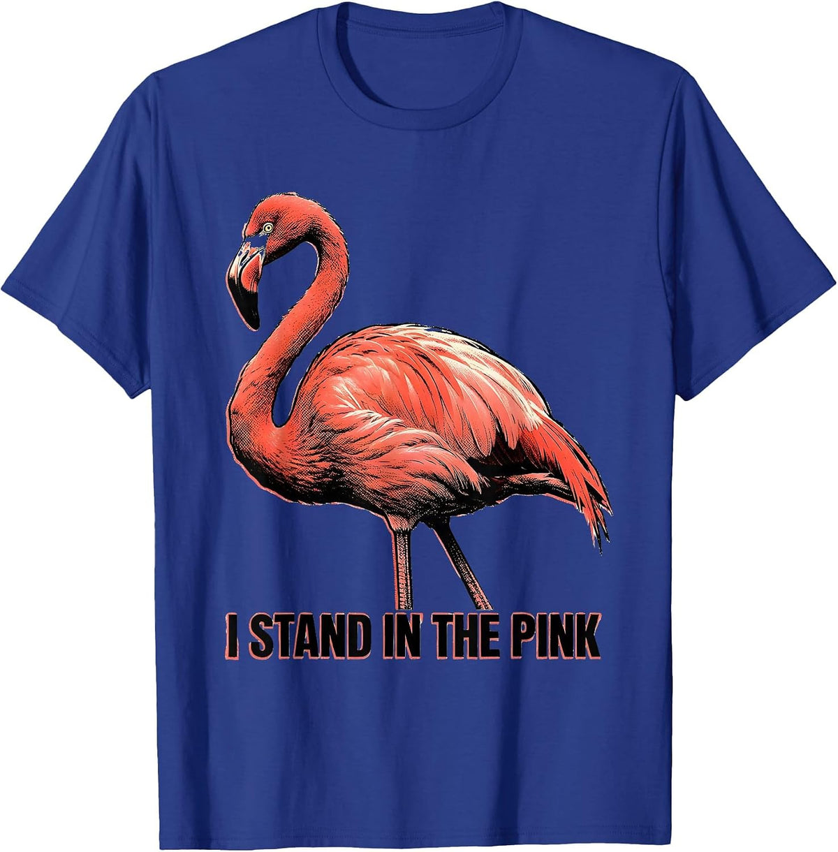 I Stand In The Pink Funny Flamingo Animal Humor Bird Lover T-Shirt - Royal Blue
