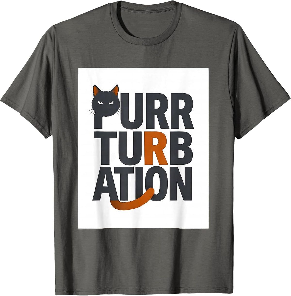 Men's Purrturbation Funny Cat Math Science Teacher Gift T-Shirt - Asphalt Grey