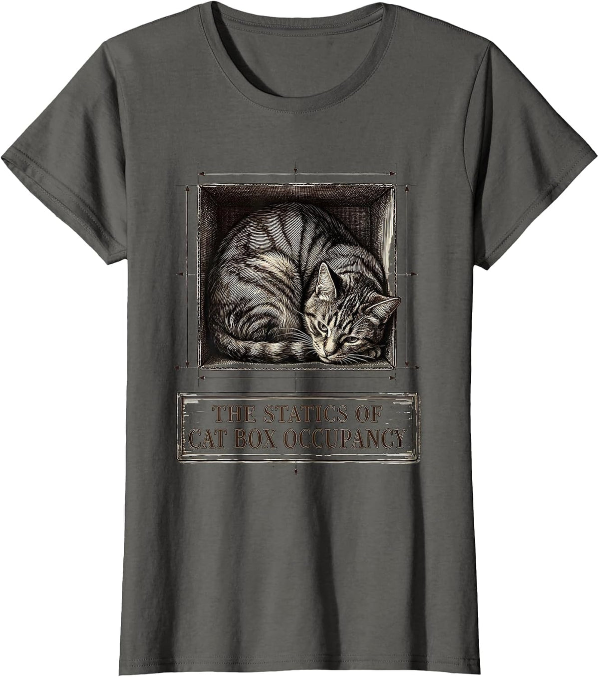 Women's The Statics Of Cat Box Occupancy Funny Cat Physics Science T-Shirt - Asphalt Grey