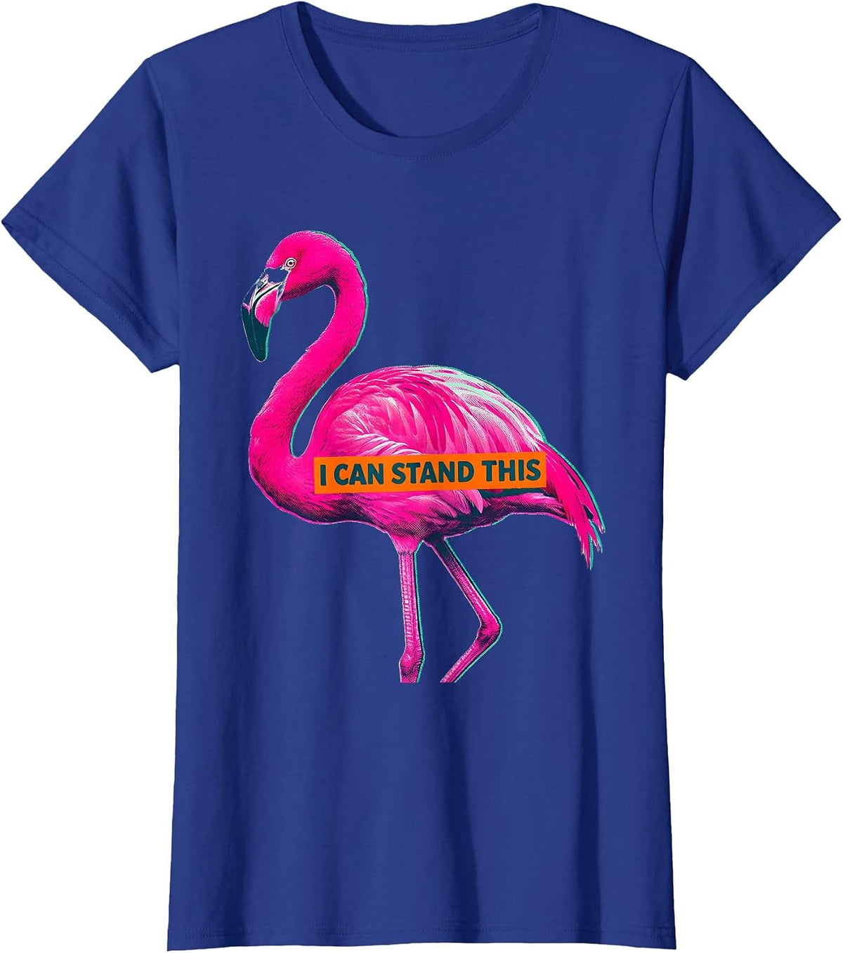 Women's I Can Stand This Funny Flamingo Animal Humor Bird Lover T-Shirt - Royal Blue
