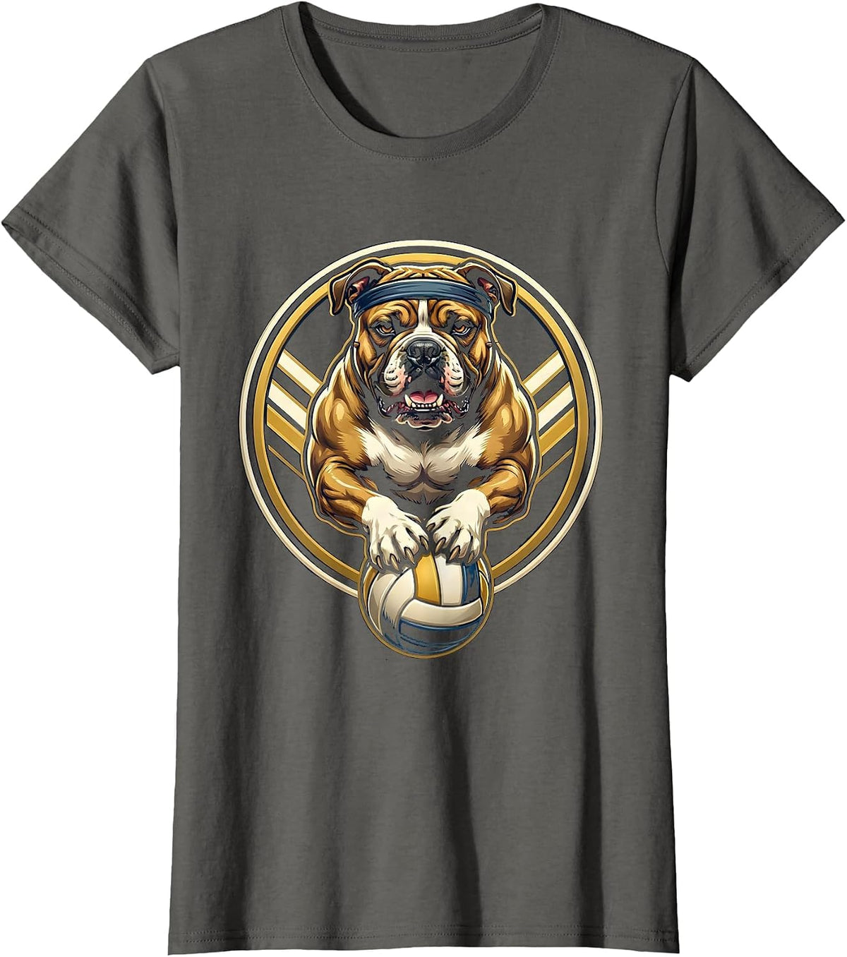 Women's Pit Bull Volleyball Serve Headband Graphic T-Shirt - Asphalt Grey