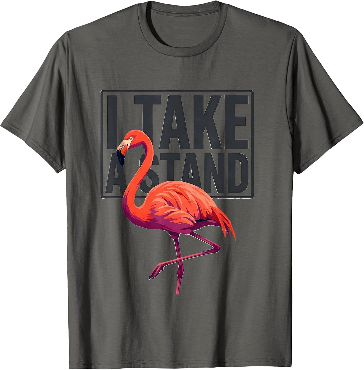 I Take A Stand Funny Flamingo Animal Humor Bird Lover T-Shirt - Asphalt Grey