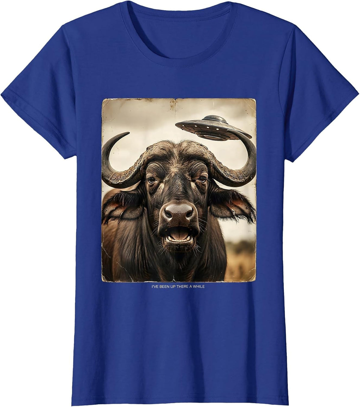 Women's I've Been Up There A While Vintage Funny Water Buffalo UFO T-Shirt - Royal Blue