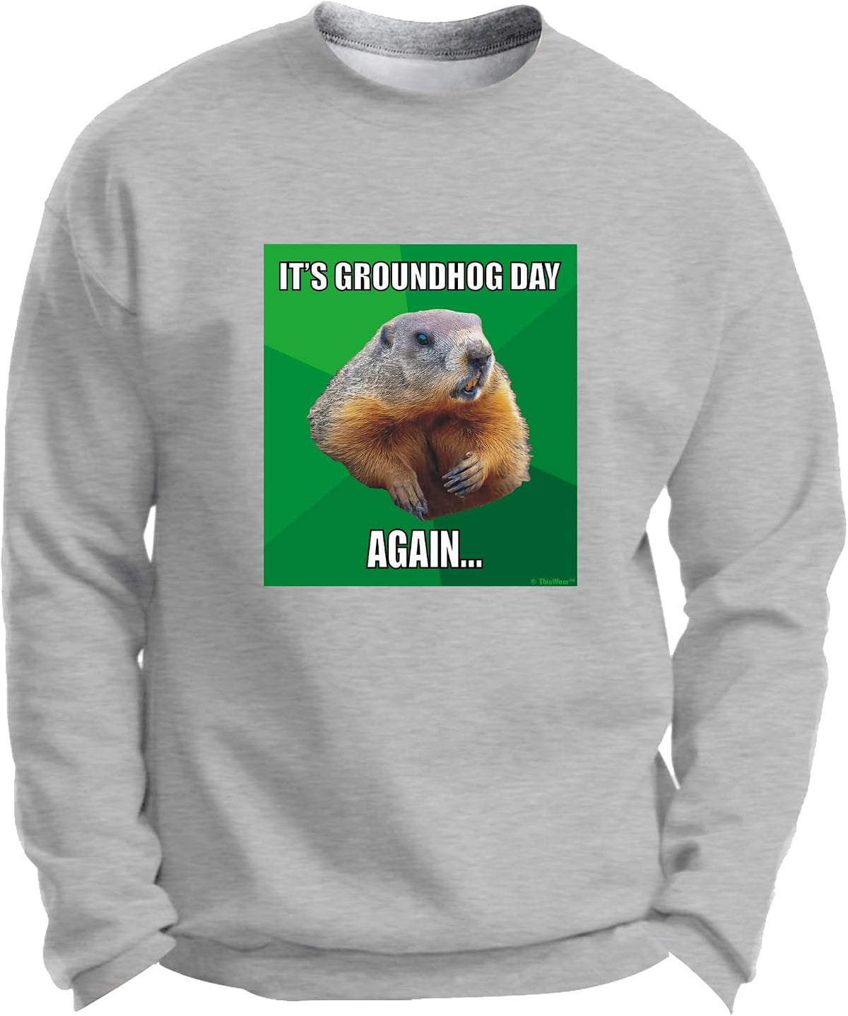 ThisWear It's Groundhog Day Again Long Sleeve Crewneck Sweatshirt - Light Steel