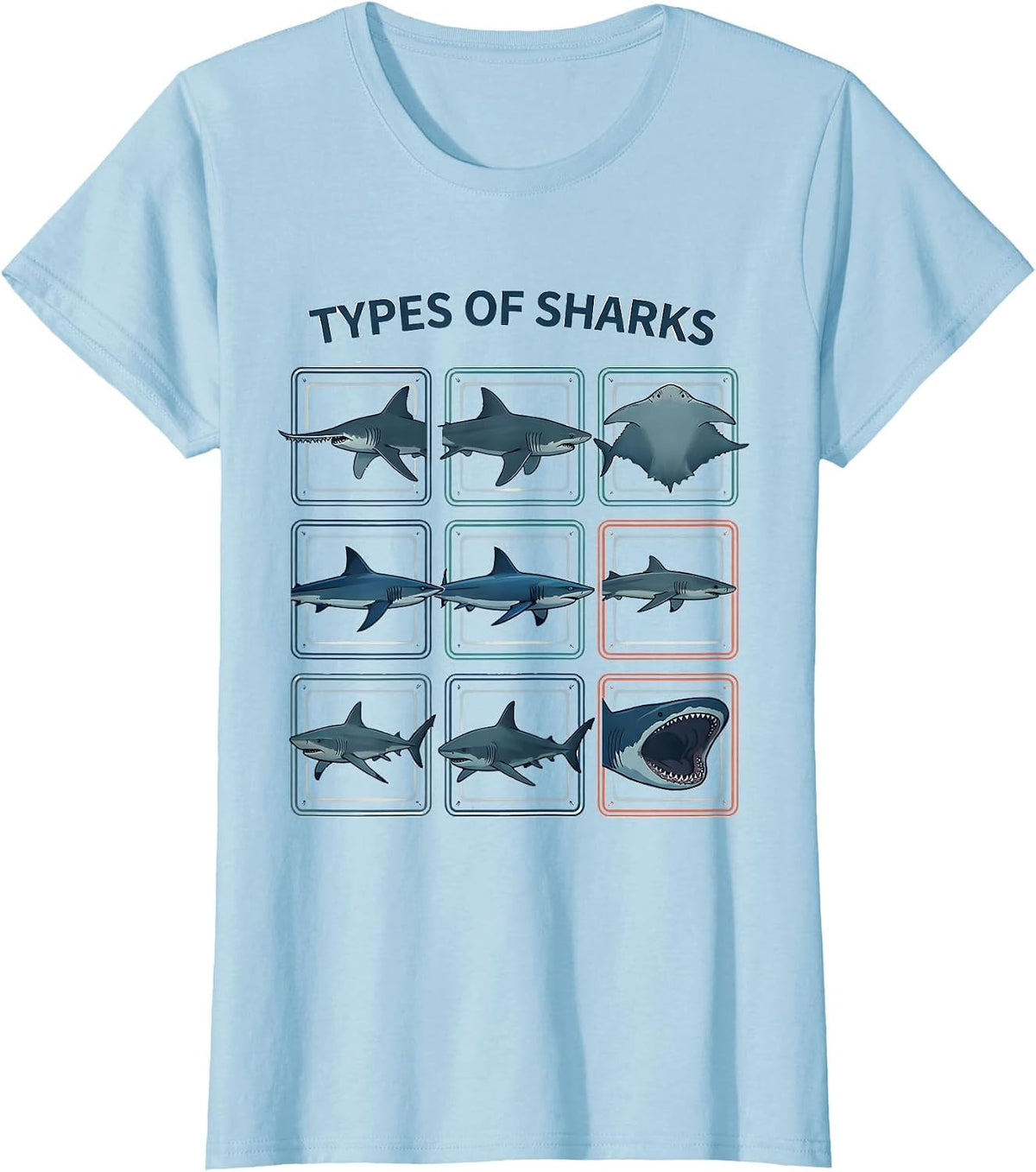 Types Of Sharks Flat Vector Marine Biology Ocean Wildlife T-Shirt - Baby Blue