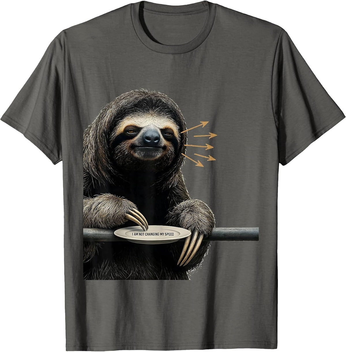 I Am Not Changing My Speed Funny Sloth Lover Animal Humor T-Shirt - Asphalt Grey