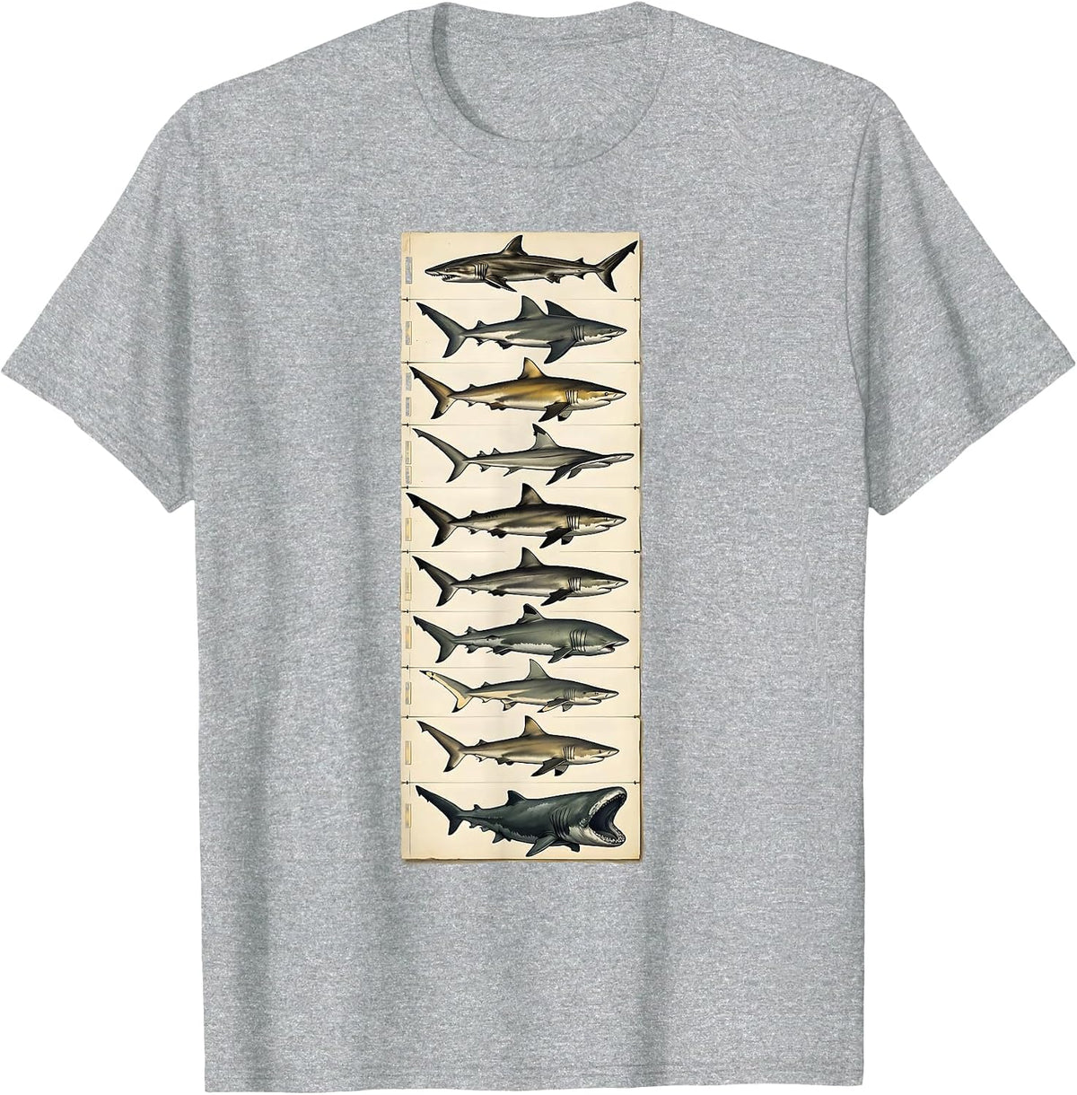 Men's Shark Species Ocean Wildlife Lover Marine Biology Enthusiast T-Shirt - Heather Grey