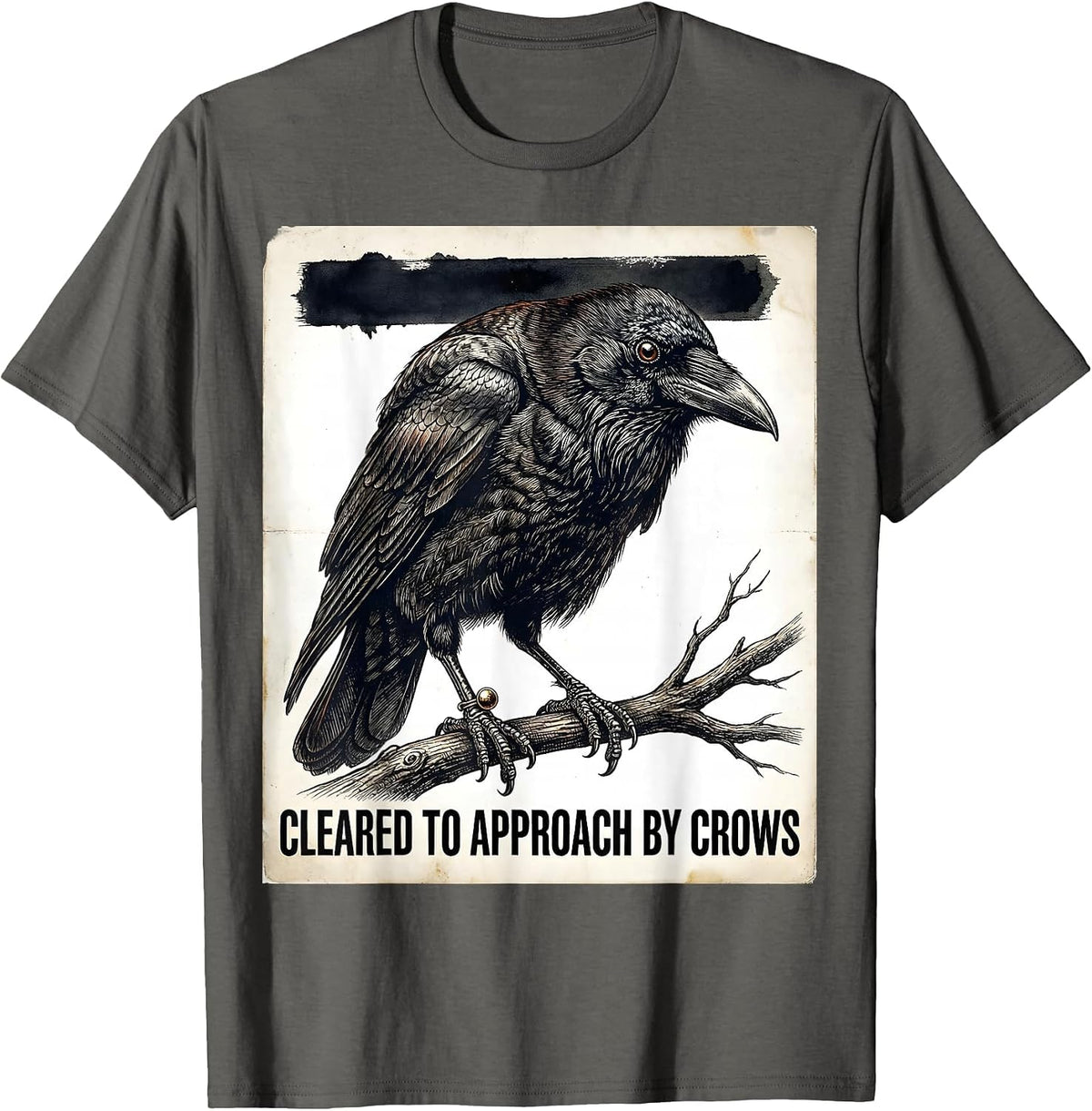 Cleared To Approach By Crows Vintage Dark Humor Crow Lover T-Shirt - Asphalt Grey