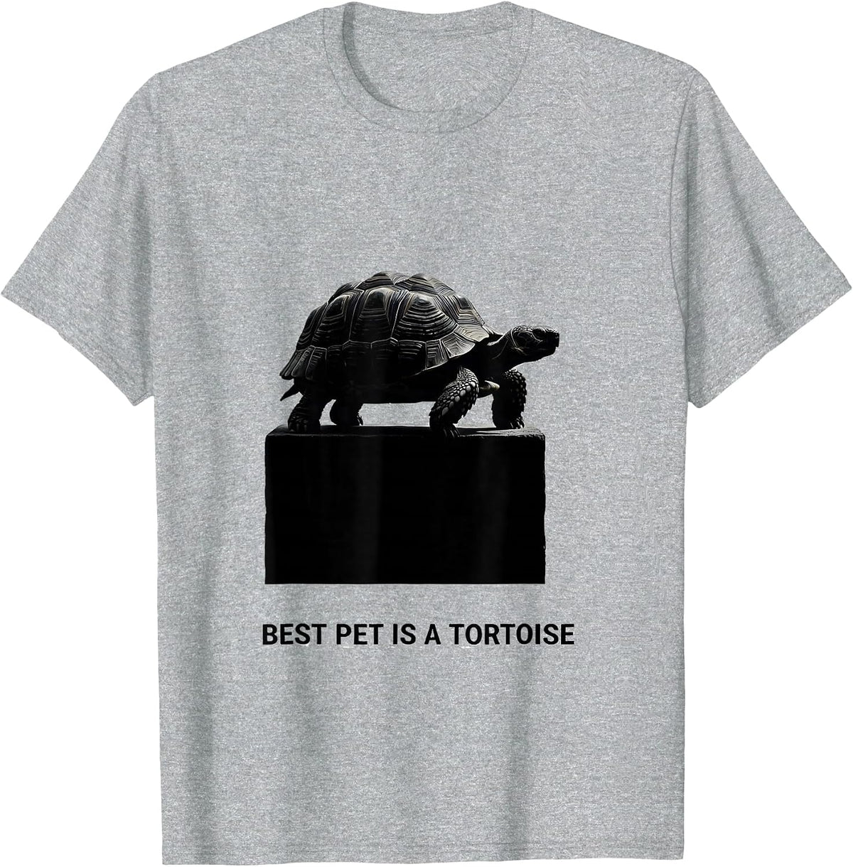 Men's Best Pet Is A Tortoise Funny Tortoise Lover Reptile Gift T-Shirt - Heather Grey