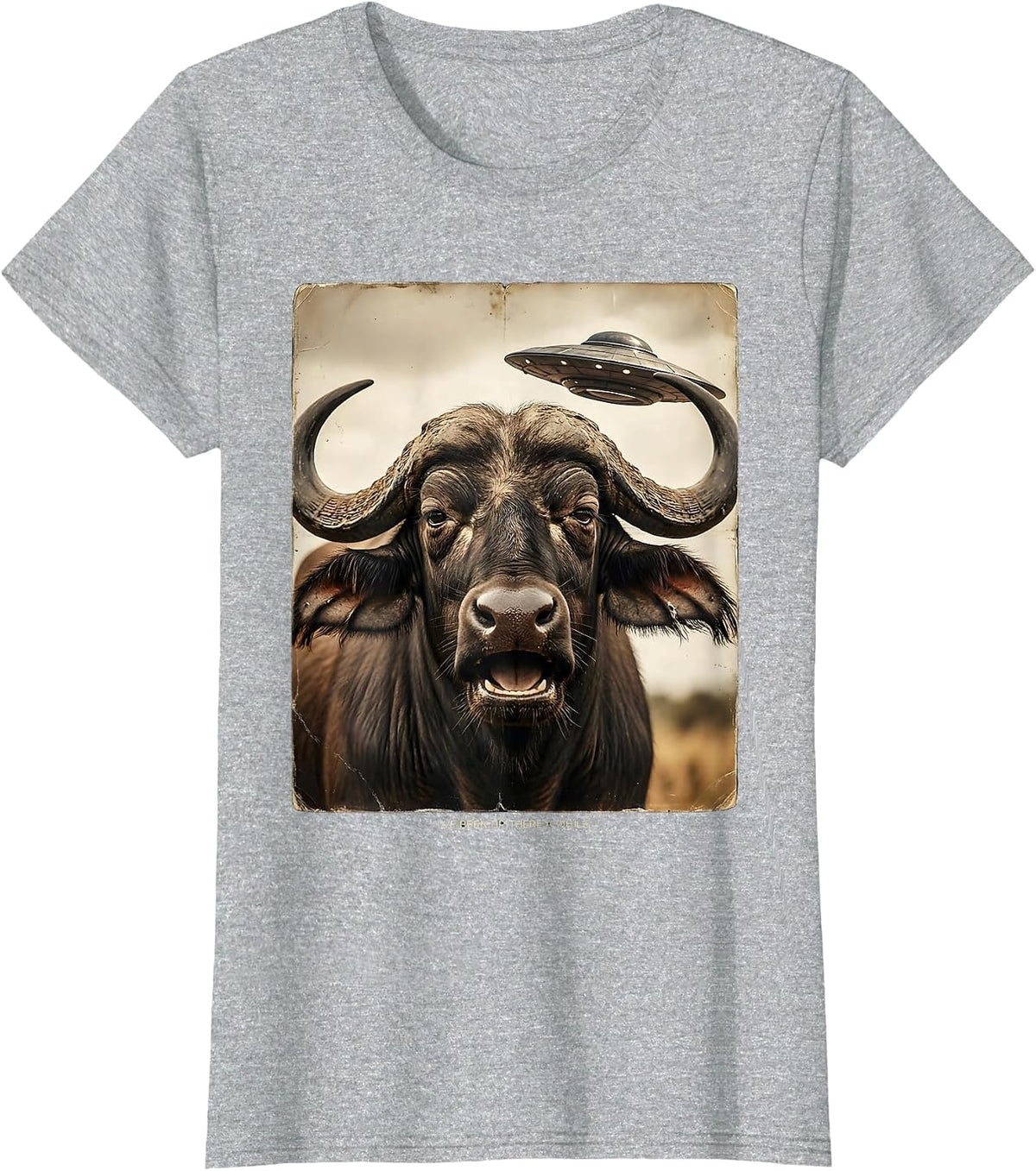 Women's I've Been Up There A While Vintage Funny Water Buffalo UFO T-Shirt - Heather Grey