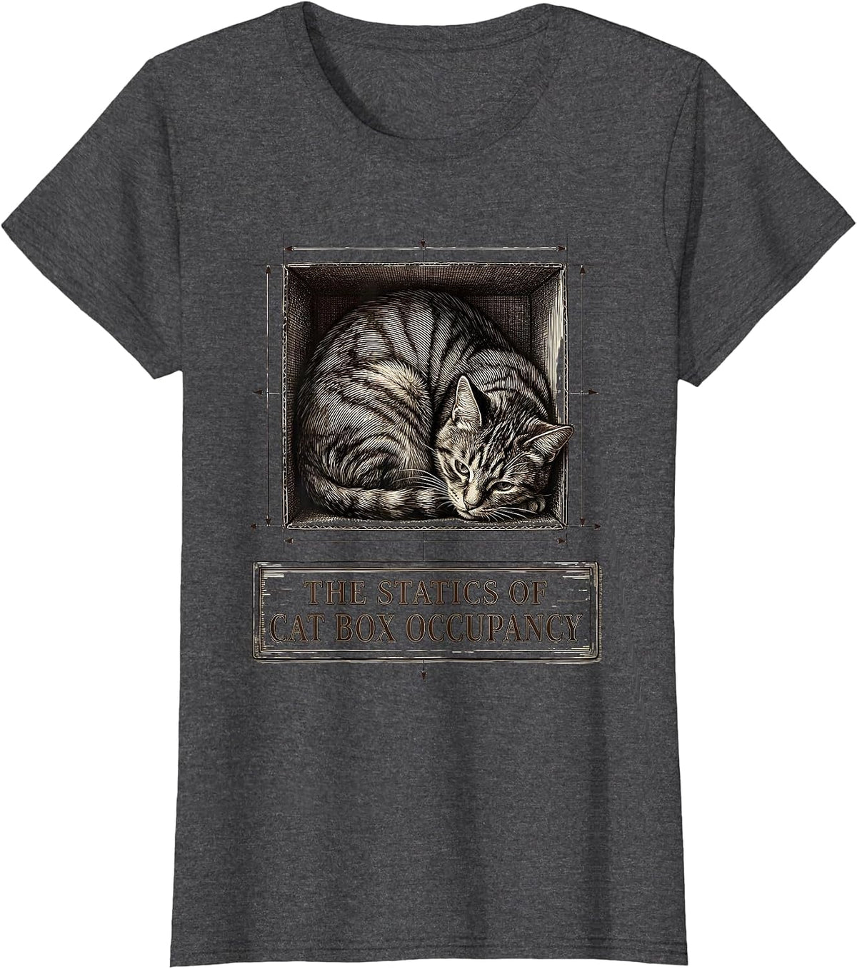 Women's The Statics Of Cat Box Occupancy Funny Cat Physics Science T-Shirt - Dark Heather Grey