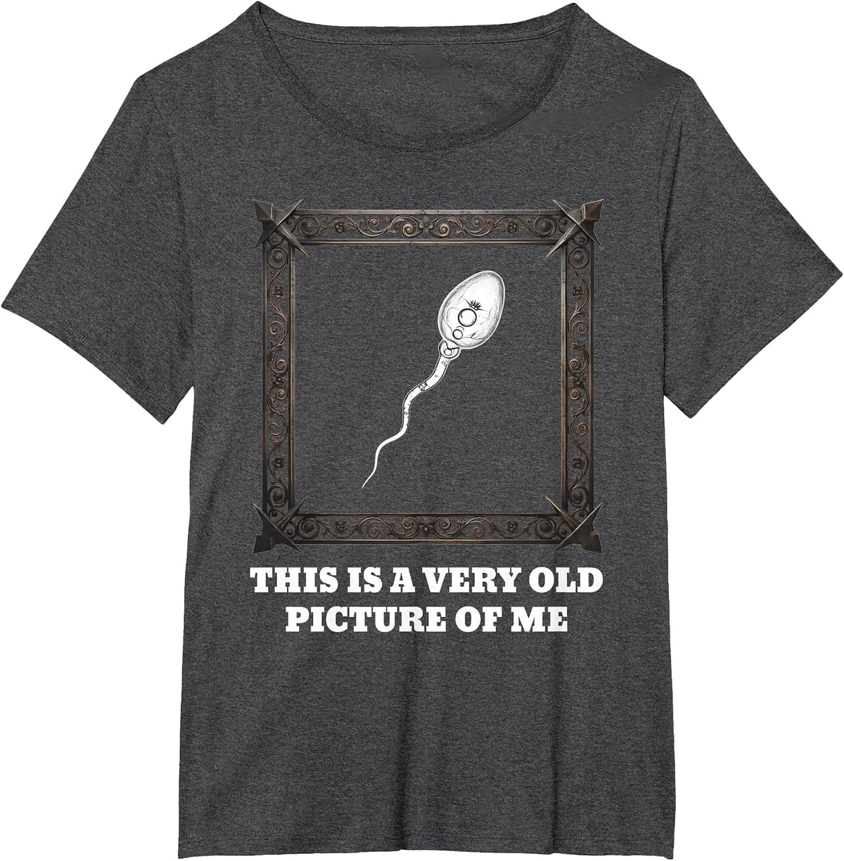 This is a Very Old Picture of Me T-Shirt - Dark Heather Grey