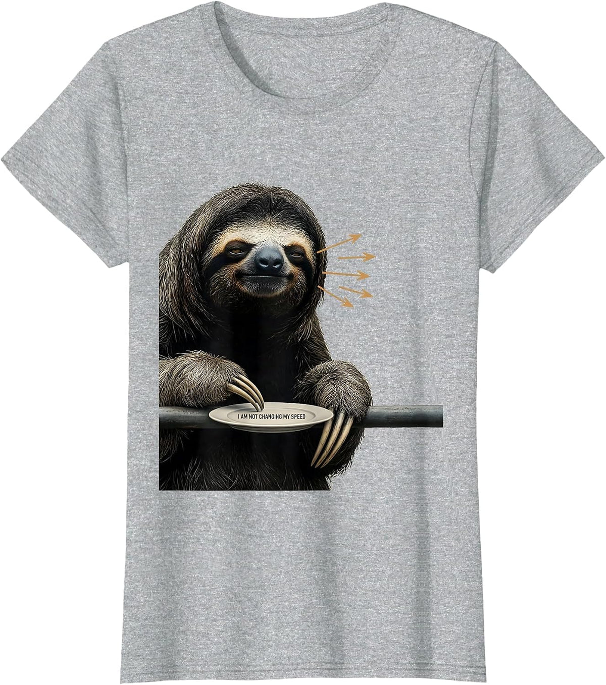 I Am Not Changing My Speed Funny Sloth Lover Animal Humor T-Shirt - Heather Grey