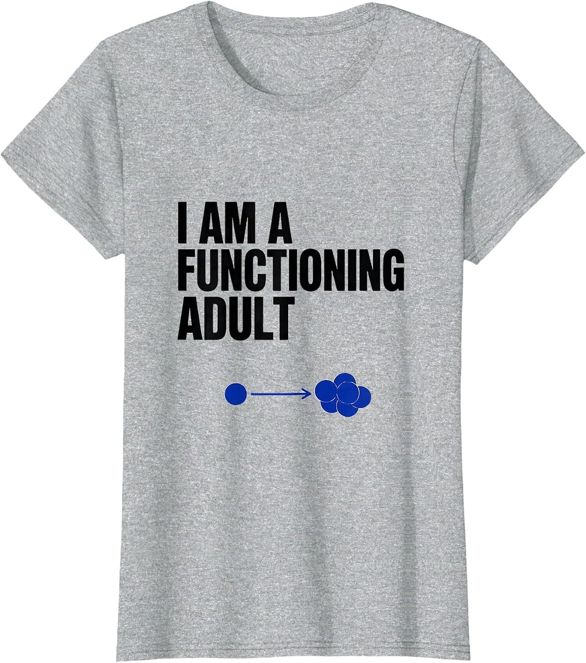 I Am A Functioning Adult Funny Math Teacher Gift Nerdy Humor T-Shirt - Heather Grey