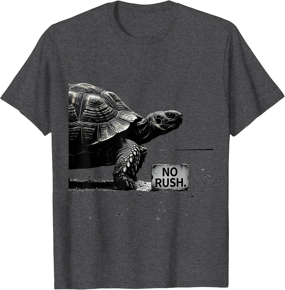 No Rush Silly Tortoise Lover Funny Turtle Pet Enthusiast T-Shirt - Dark Heather Grey