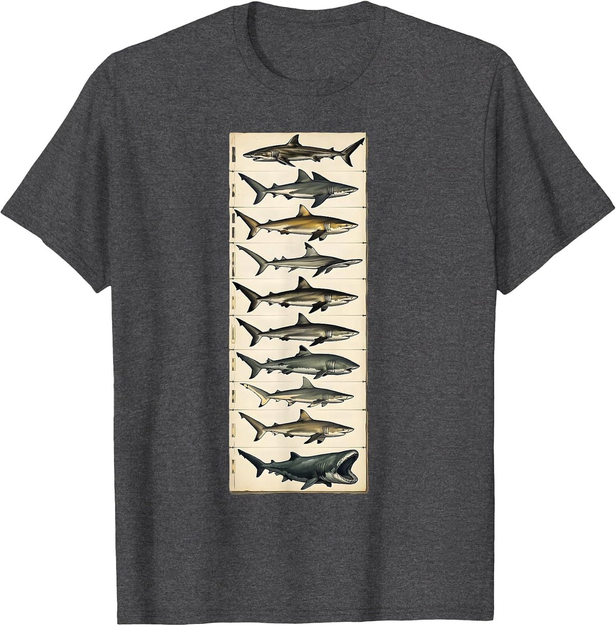 Men's Shark Species Ocean Wildlife Lover Marine Biology Enthusiast T-Shirt - Dark Heather Grey