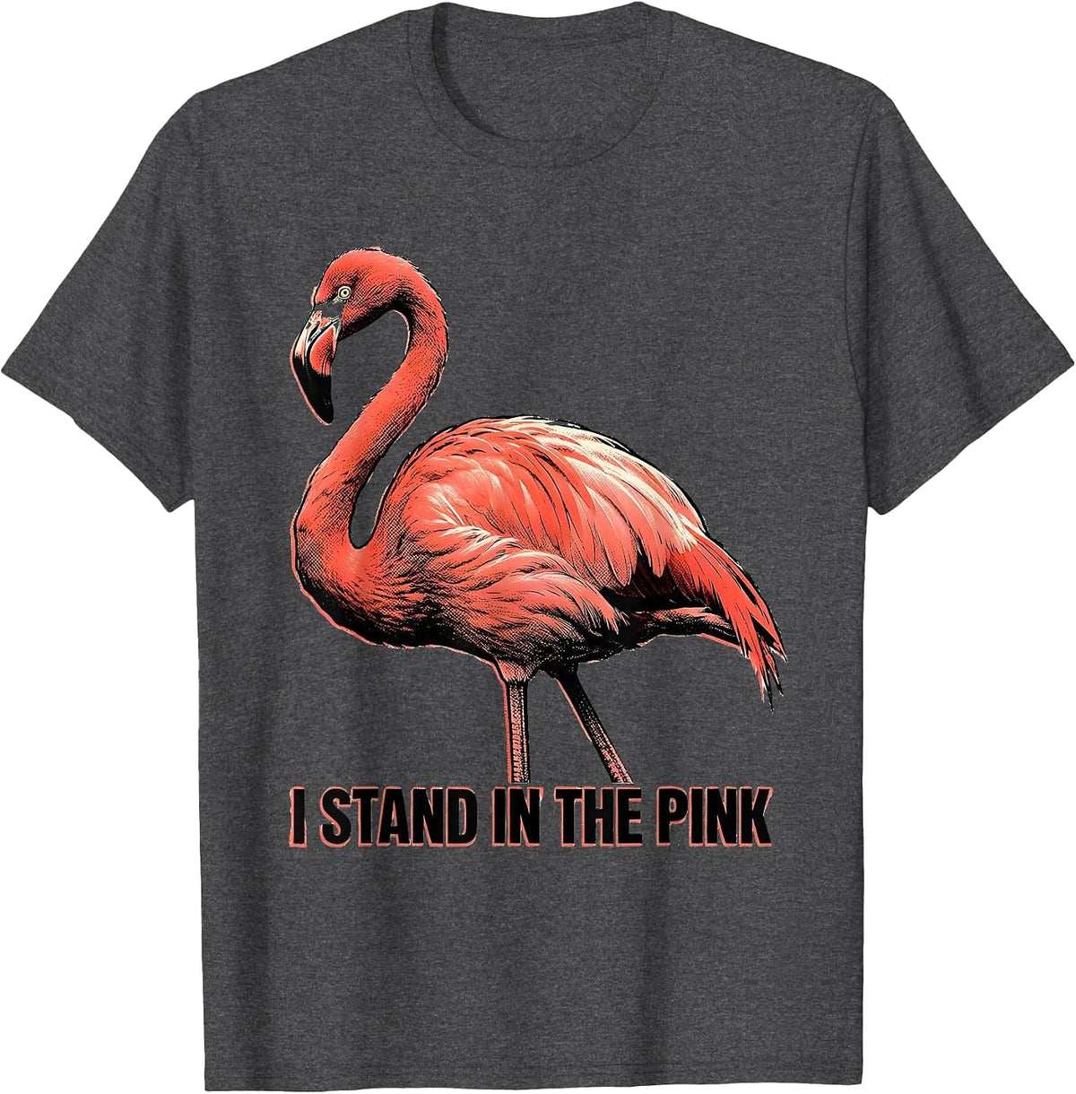 I Stand In The Pink Funny Flamingo Animal Humor Bird Lover T-Shirt - Dark Heather Grey