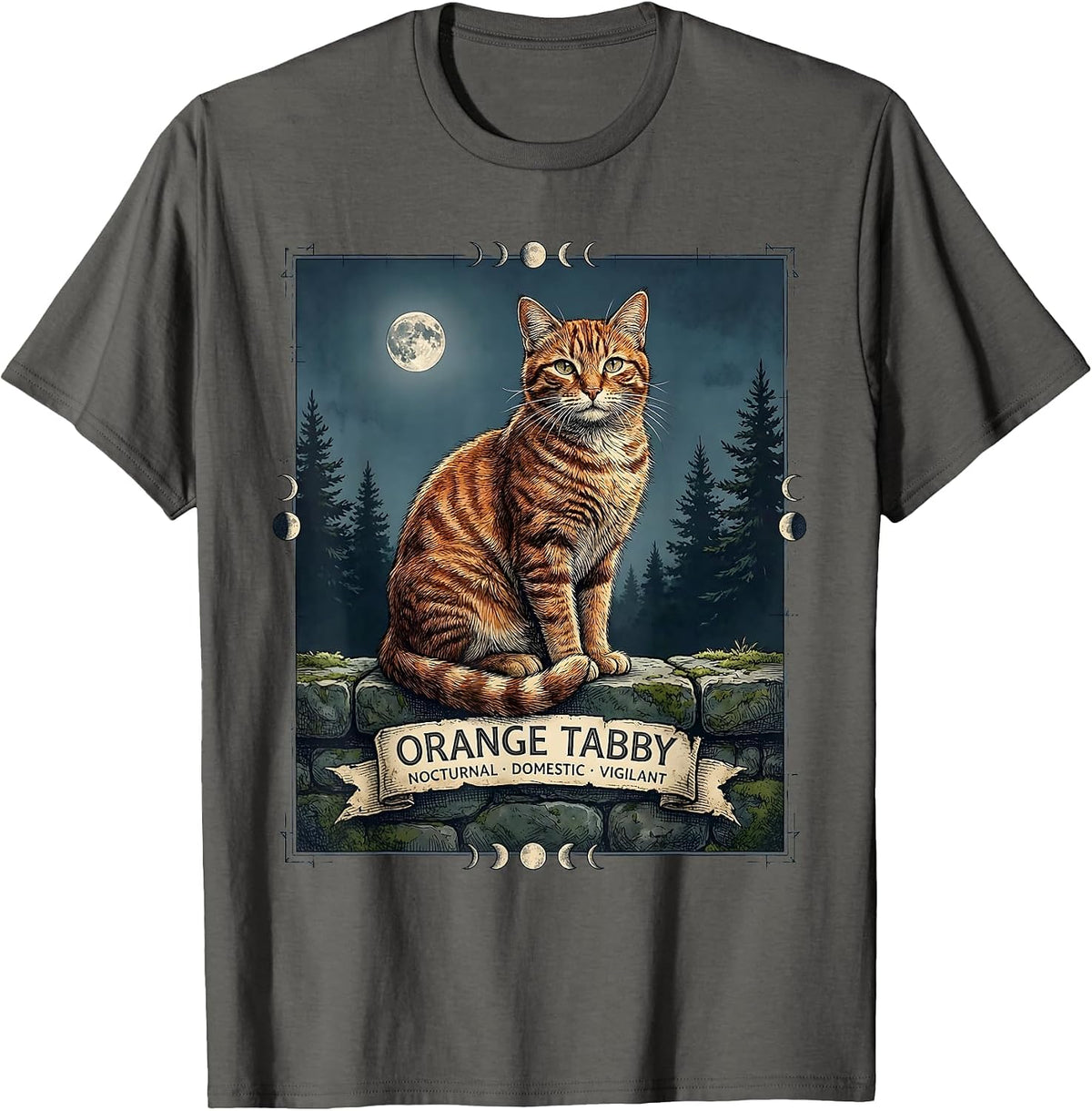 Men's Orange Tabby — Nocturnal, Domestic, Vigilant Vintage T-Shirt - Asphalt Grey