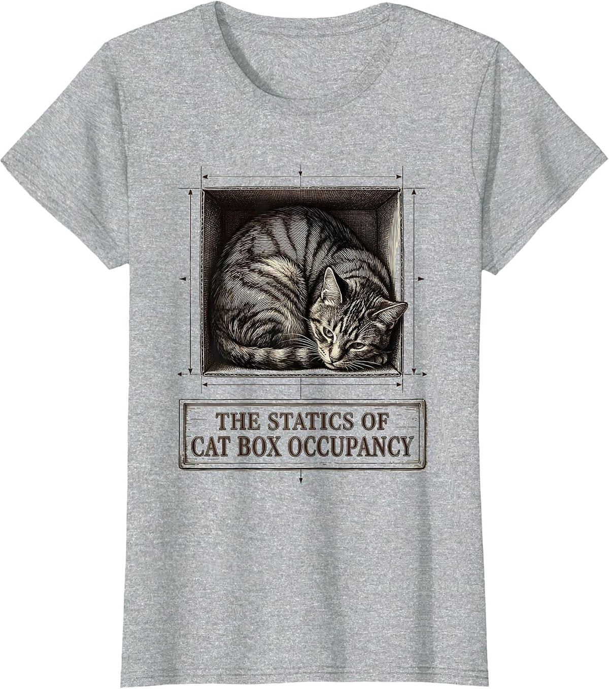 Women's The Statics Of Cat Box Occupancy Funny Cat Physics Science T-Shirt - Heather Grey
